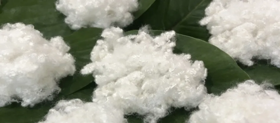 Is Polyester a Synthetic Fiber? Something You Need to Know